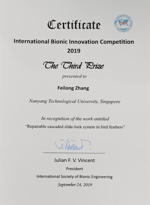 IBIC 3rd prize.jpg